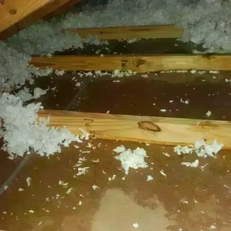 Attic Water Damage in Comfort, TX