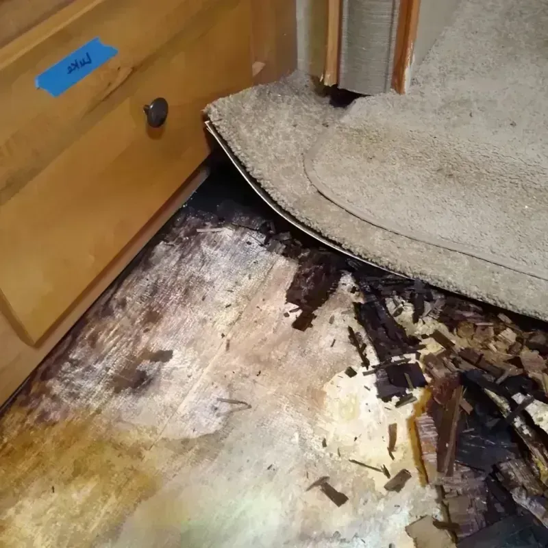 Wood Floor Water Damage in Comfort, TX